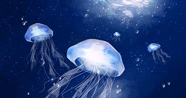 水質檢測的步驟是什么